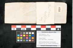 Foto (Objekt + Etikett) von Neritinium longifolium Unger (NHMW-GEO-2024-0188-8154)